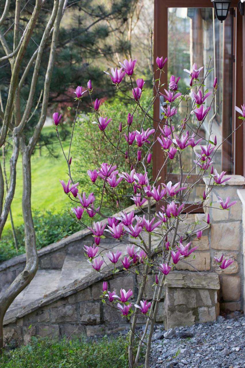 Casa Lavanda Boutique Hotel Şile Bagian luar foto
